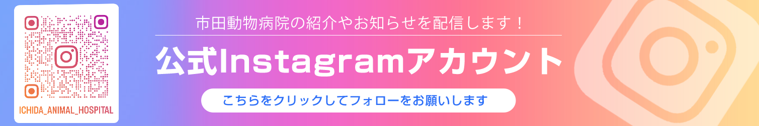 公式Instagramアカウント